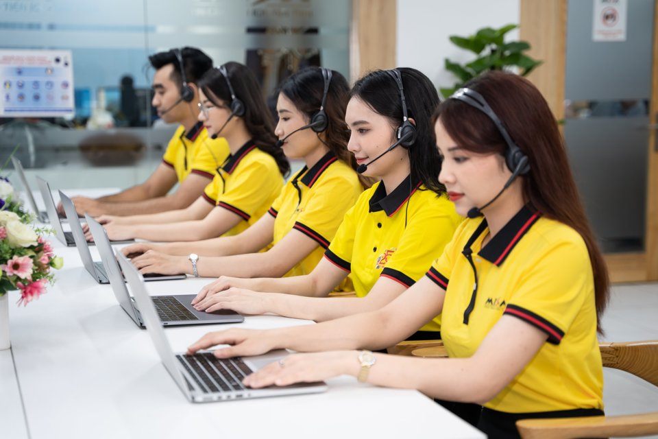 lĩnh vực hoạt động